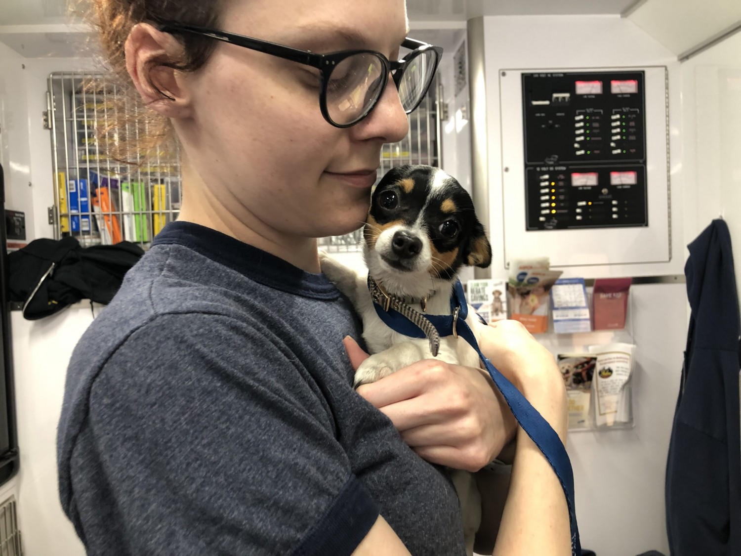 person holding puppy