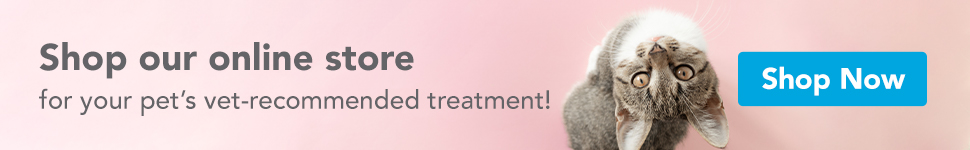 shop online banner shop online banner