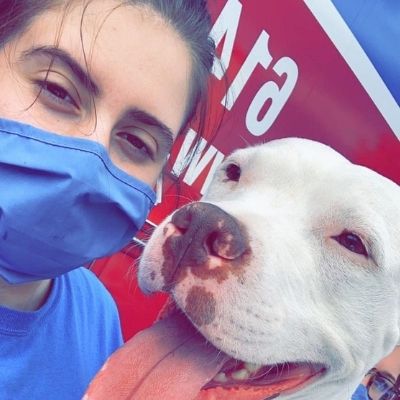 MADDIE Vet Assistant MADDIE Vet Assistant